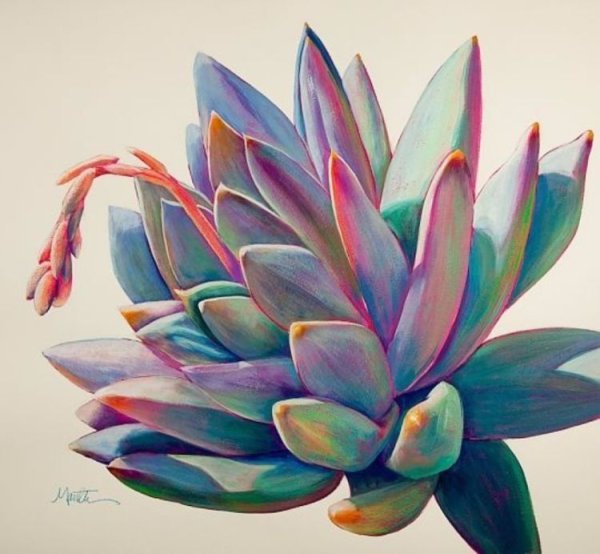Кактус акварели succulent