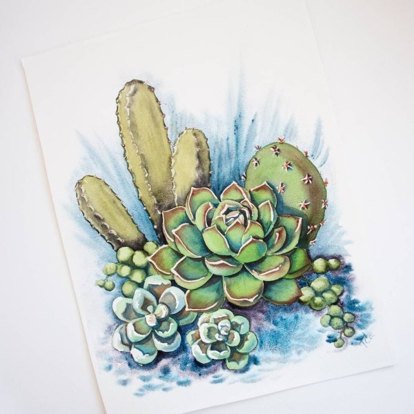 Ботаническая живопись акварелью Суккуленты