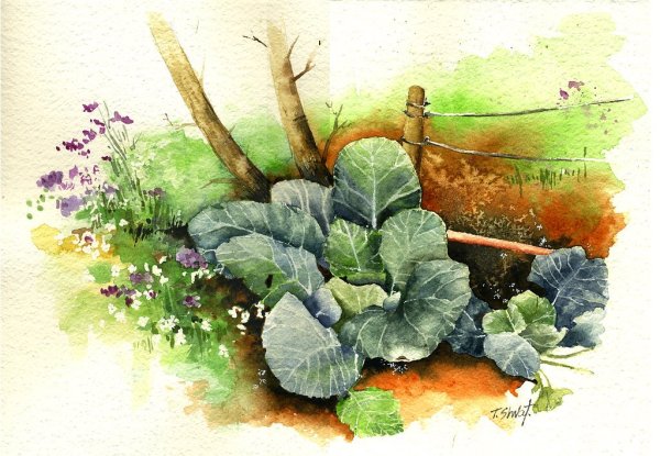 Огород акварель