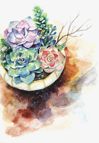 Акварельные цветы Суккуленты для пригласительных