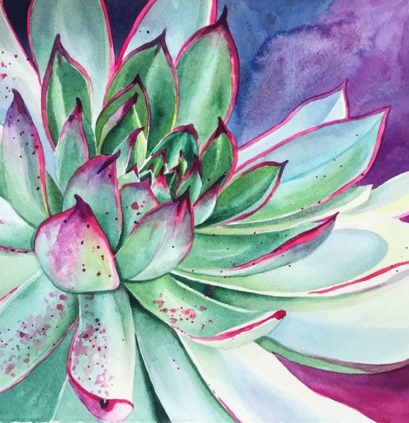 Суккулент в горшке акварель