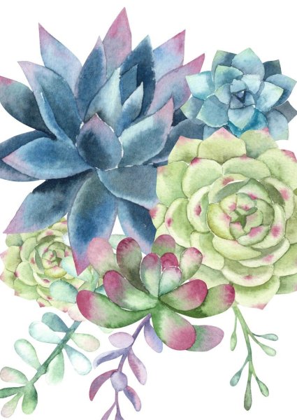 Паттерн Суккуленты