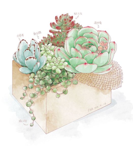 Акварель суккулент и цветы