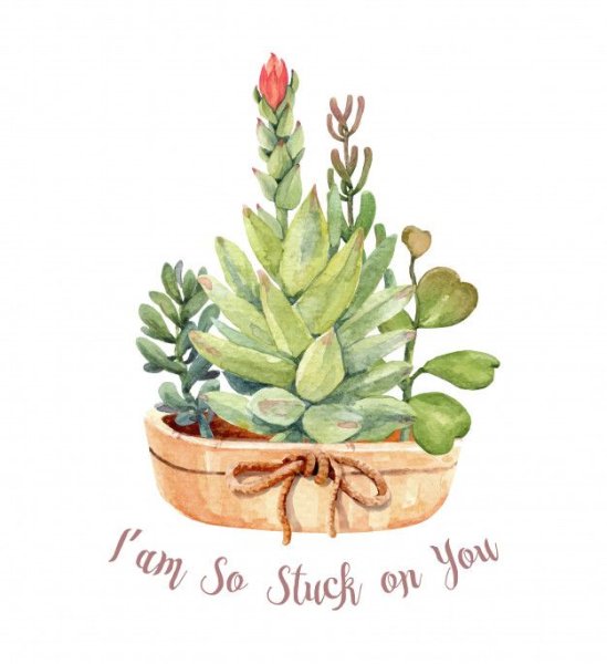 Кактус скетчинг акварель