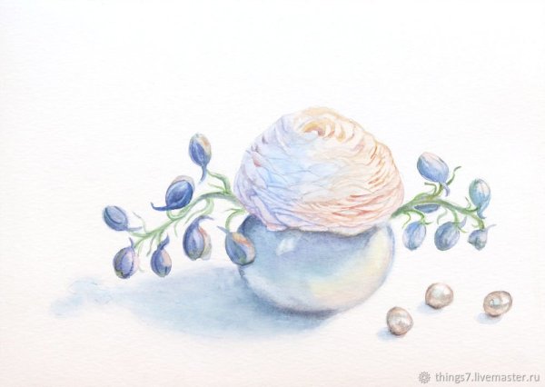 Морская раковина акварель