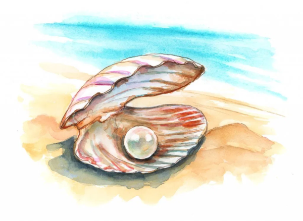 Раковина с жемчужиной картина