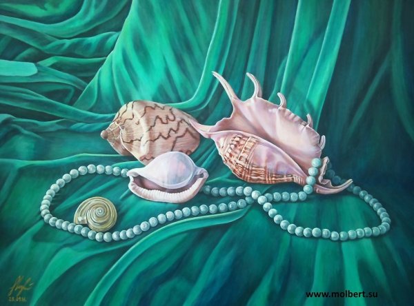 Морская раковина акварель