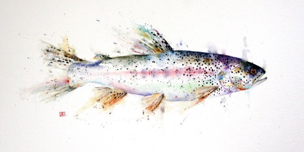 Семга акварель