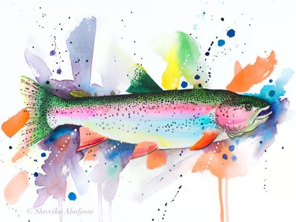 Форель иллюстрация акварель