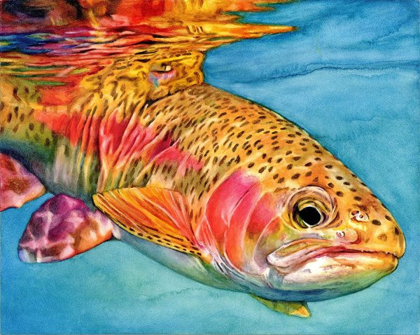 Радужная форель живопись