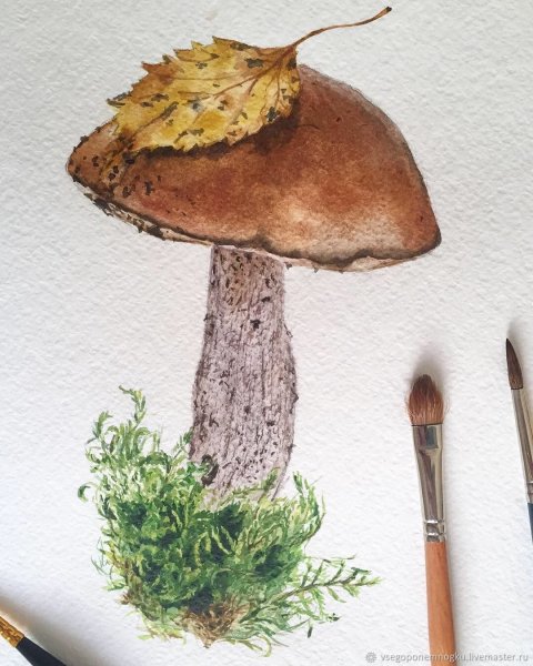 Подберезовик акварель