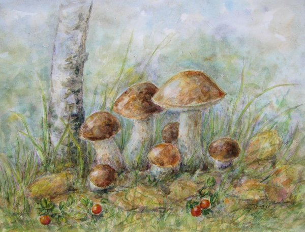 Грибы акварелью подберёзовик