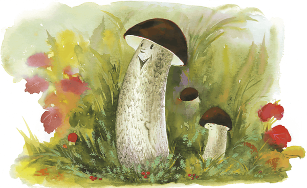 Картина подберезовика