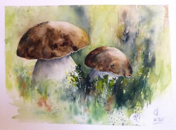 Белый гриб акварель