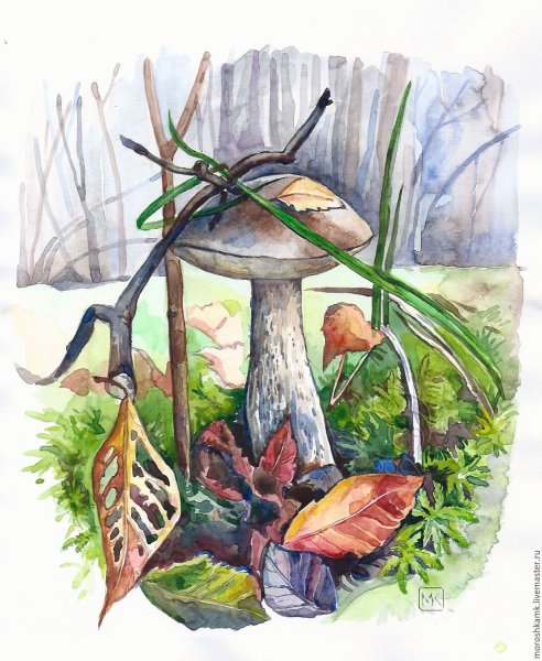 Грибы акварелью