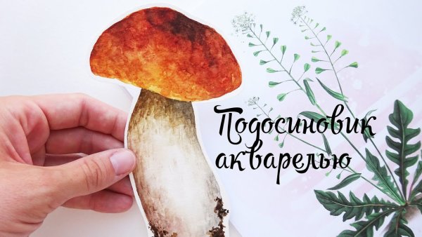 Подосиновик акварелью