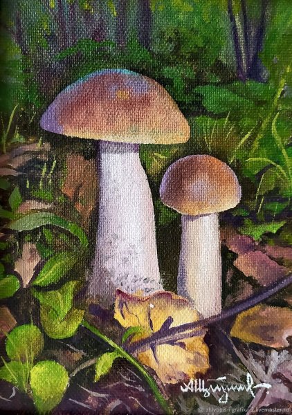 Гриб подберезовик картина