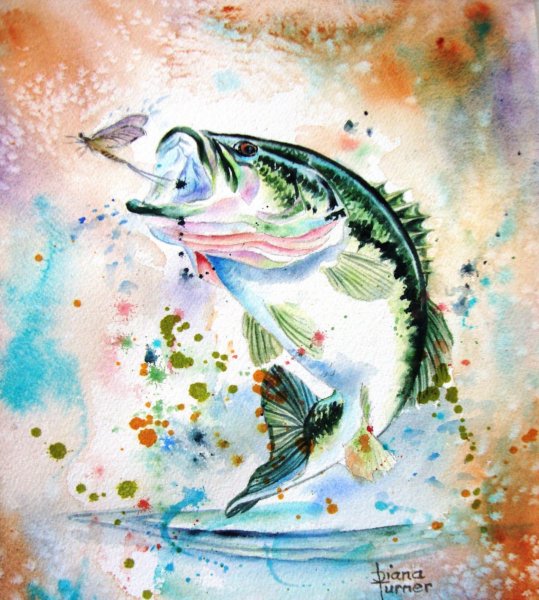 Картина рыбы акварель