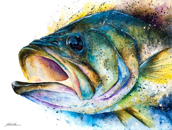 Рыбка акварелью для начинающих