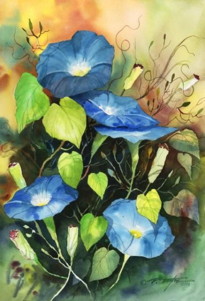 Ботаническая иллюстрация ипомея