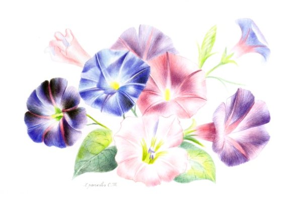 Художник - акварелист ti Watercolor-Kitipong Maksin