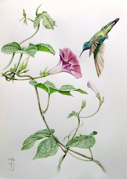 Ибараги Йосиюки