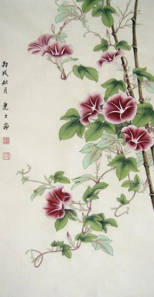 Вьюнок полевой