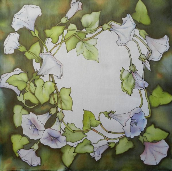 Вьюнок Ботаническая иллюстрация