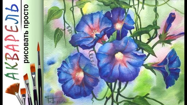 Вьюнок шерстистый