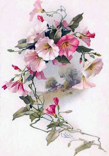 Петуния акварель