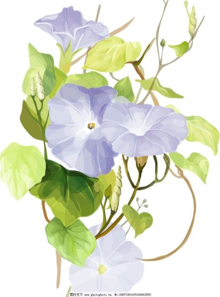 Инна Петрашкевич акварель мастер класс