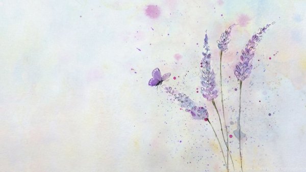 Анна Армона картины