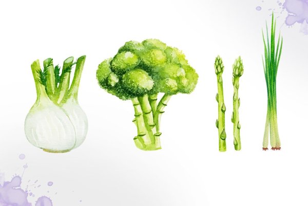 Зеленый лук акварель