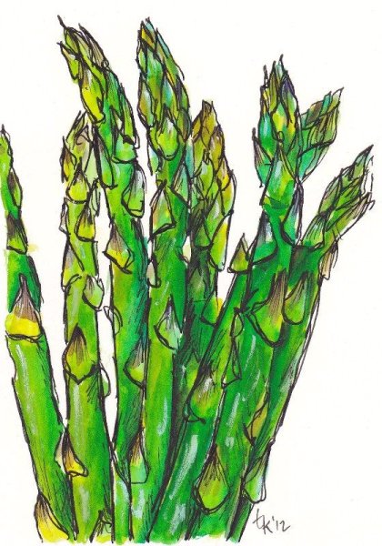 Спаржа референс