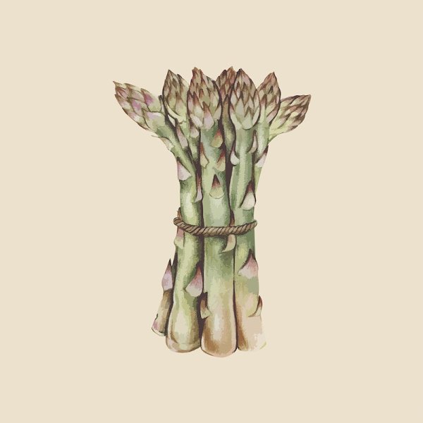 Картинки для декупажа спаржа