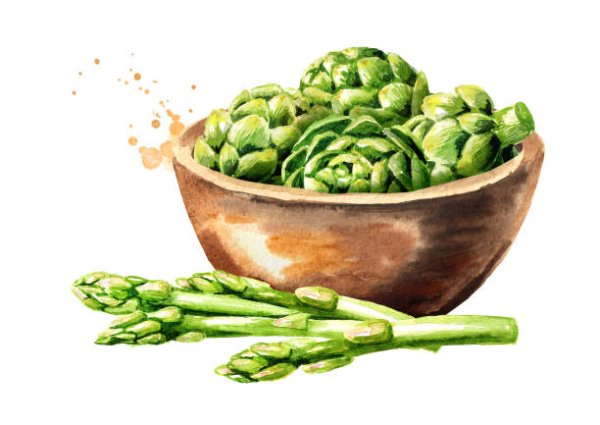 Вышивка спаржа