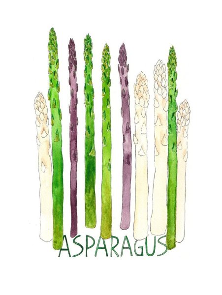 Татуировки спаржа