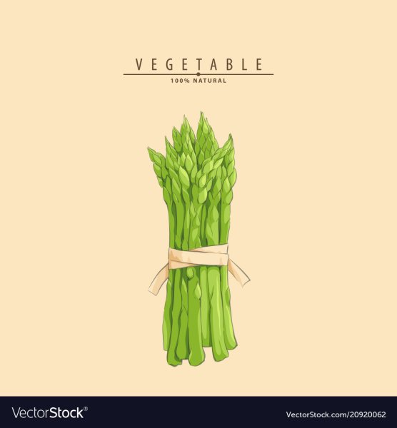 Контурный рисунок спаржа в банке