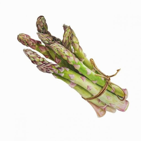 Мультяшная спаржа