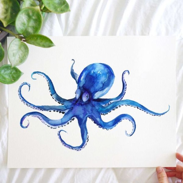 Батик осьминог