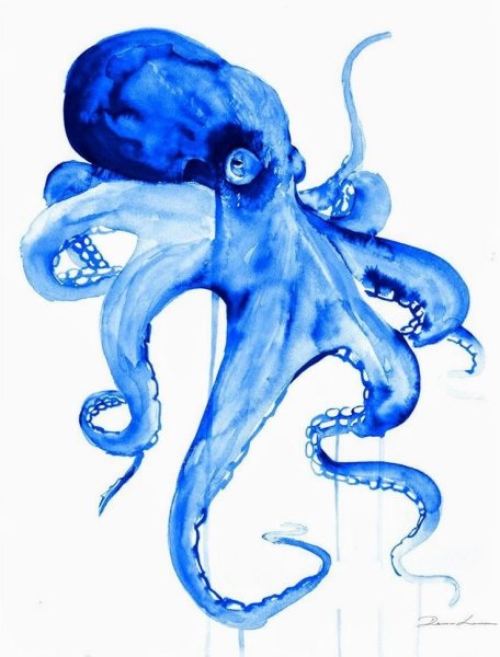 Осьминог акварель