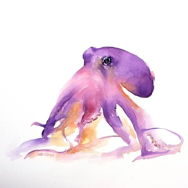Осьминог скетч акварелью