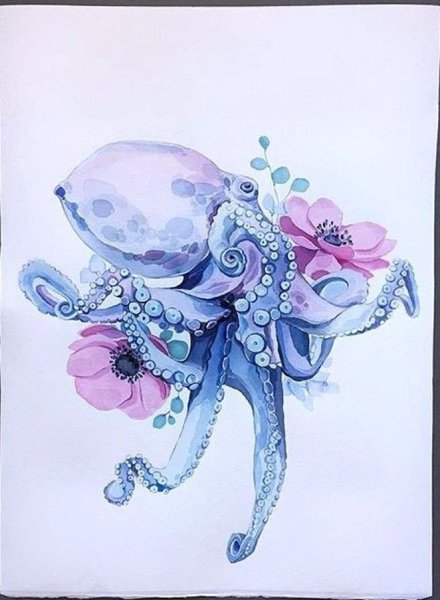 Осьминожка акварель