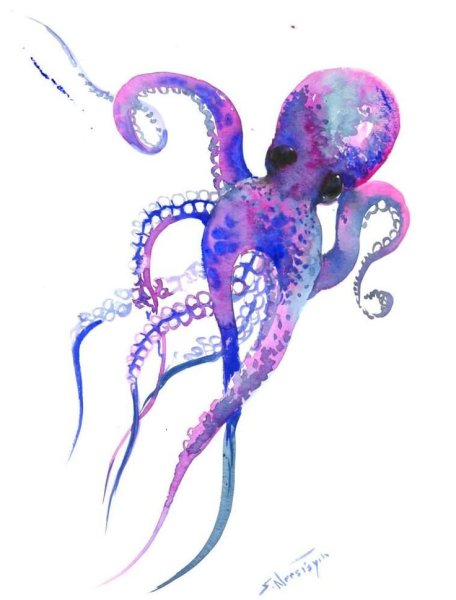 Синий осьминог