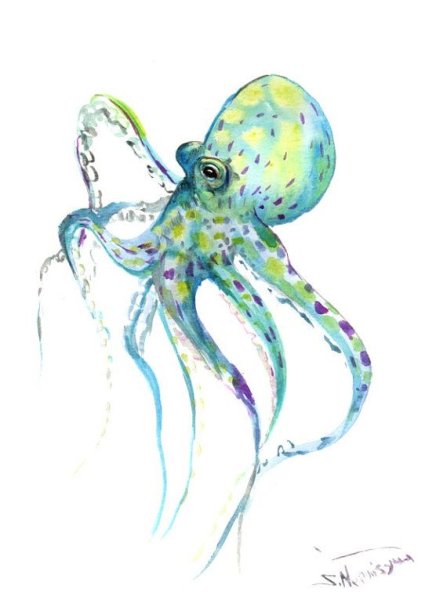 Осьминог акварель