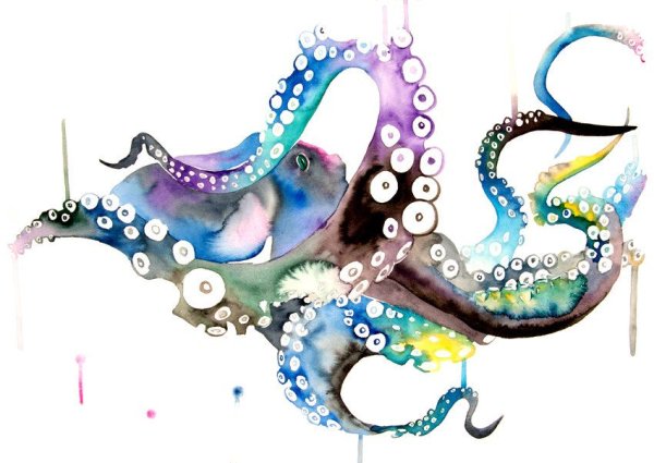 Осьминог акварель