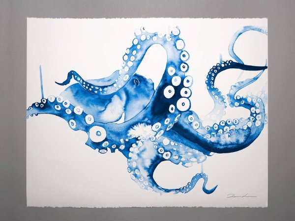 Морской конек и осьминог