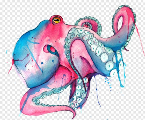 Осьминог акварель