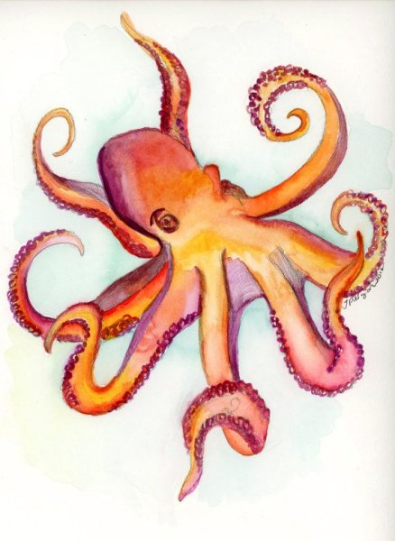 Осьминог акварельными карандашами