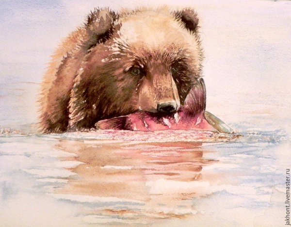 Бурый медведь акварель